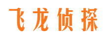 龙文侦探